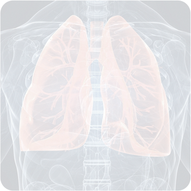 Cirurgia Tor�cica Minimamente Invasiva